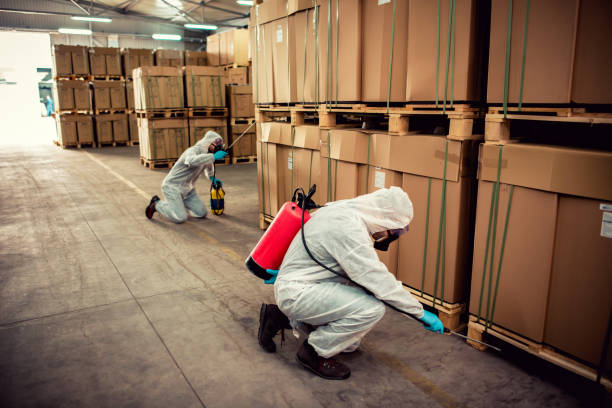Best Wildlife Control Services  in Lincolnton, GA
