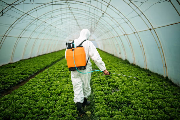 Best Best Pest Control Companies  in Lincolnton, GA