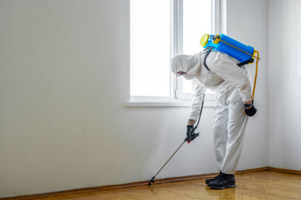 Best Wasp Removal Services  in Lincolnton, GA