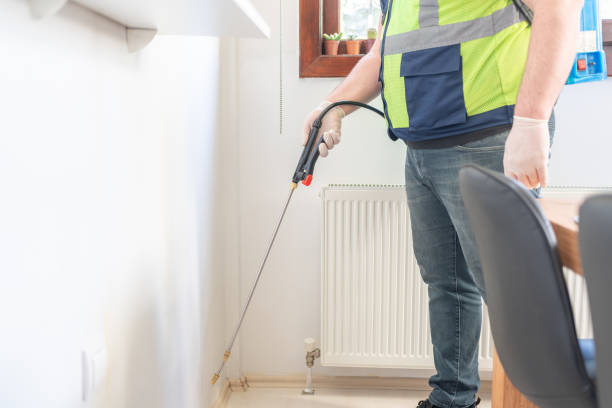 Trusted Lincolnton, GA Pest Control Experts