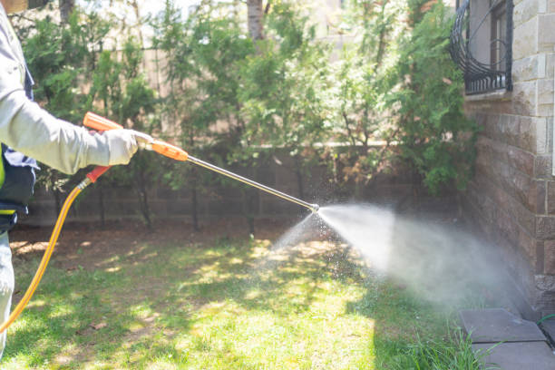 Best Affordable Pest Control Services  in Lincolnton, GA