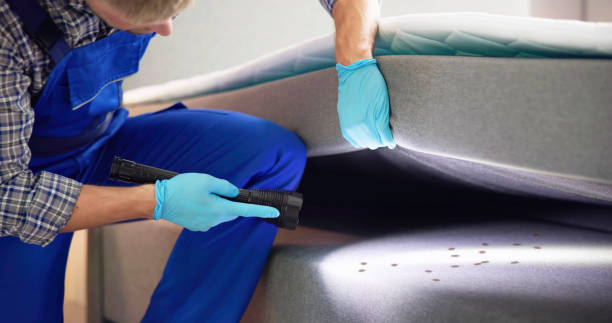 Best Pest Control Treatment  in Lincolnton, GA